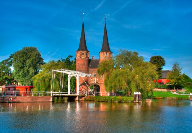 Die Tulpen - Das Wahrzeichen der Niederlande